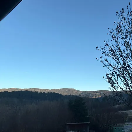 Panorama *